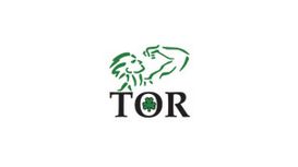 Tor Decorators Cardiff